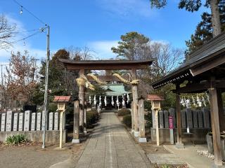 熊野神社の参拝記録(ハシビロコウさん)
