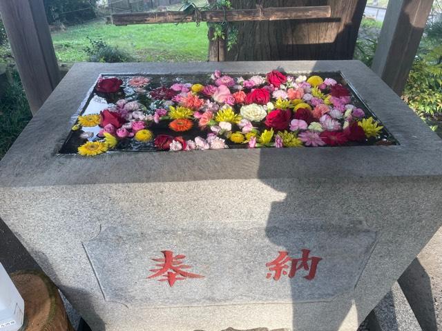 埼玉県所沢市糀谷78 八幡神社（糀谷八幡宮）の写真13
