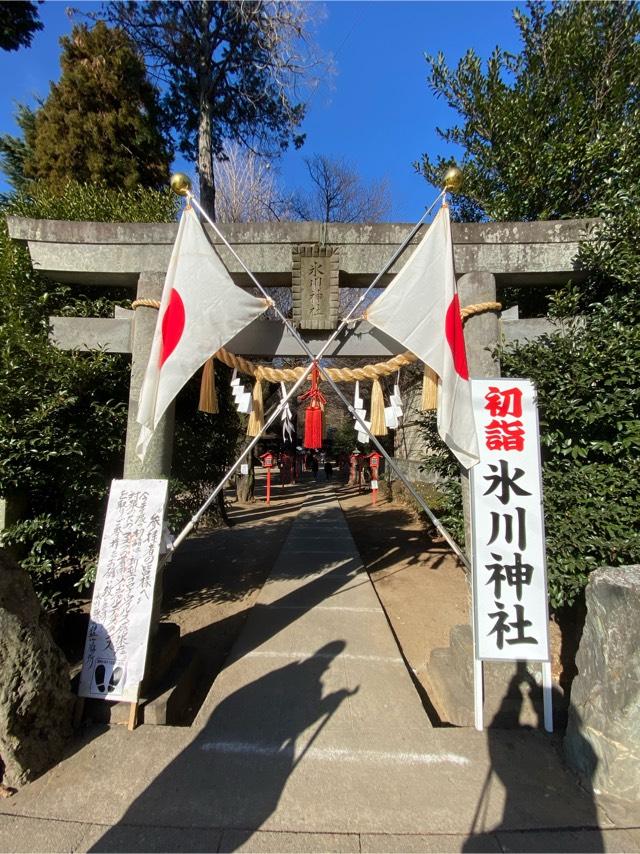 埼玉県富士見市諏訪1-13-24 氷川神社の写真2