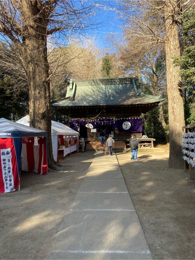 埼玉県富士見市諏訪1-13-24 氷川神社の写真3