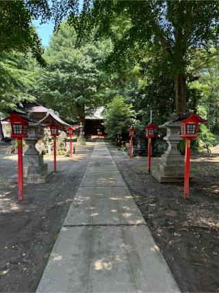 諏訪氷川神社の参拝記録(こーちんさん)