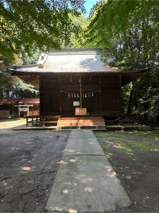 諏訪氷川神社の参拝記録(こーちんさん)