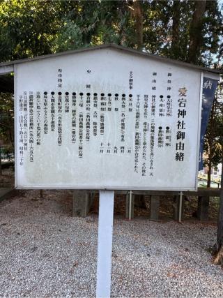 愛宕神社の参拝記録(こーちんさん)