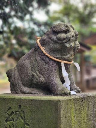 出雲祝神社の参拝記録(たけちゃ～ん⚾さん)