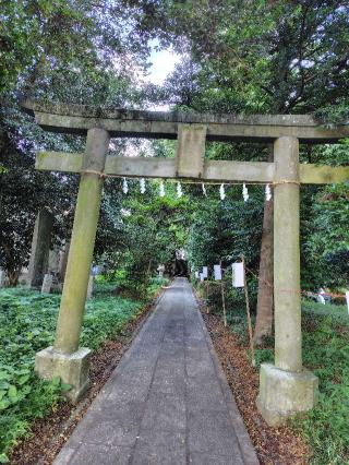 出雲祝神社の参拝記録(よっちゃん3さん)