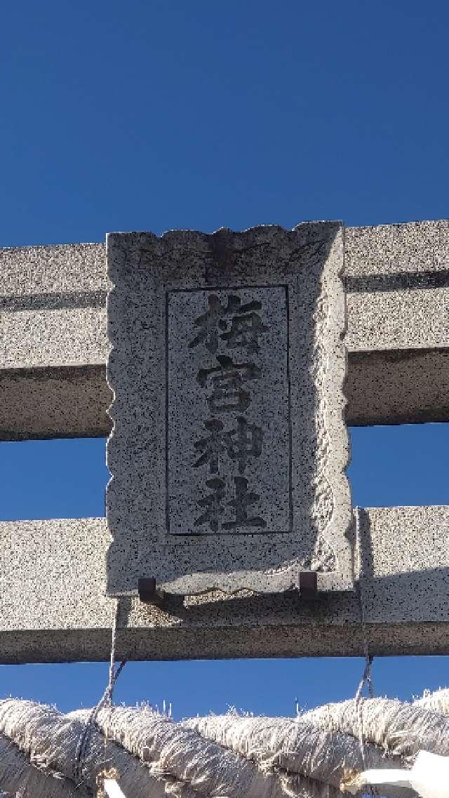 埼玉県狭山市上奥富507 梅宮神社の写真10