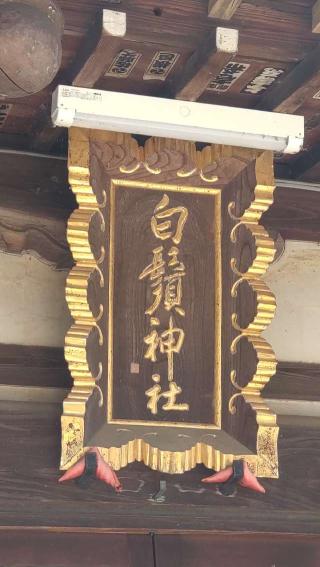 白鬚神社の参拝記録(ステイさん)