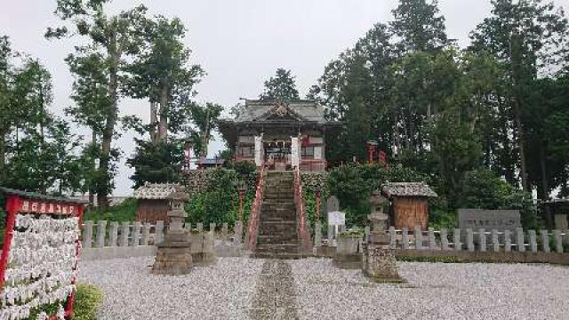 埼玉県坂戸市石井226 勝呂神社の写真2