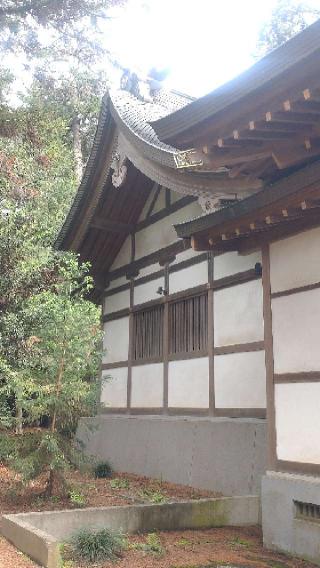 大宮住吉神社の参拝記録(ステイさん)