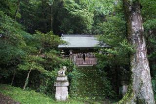 富士浅間神社の参拝記録(thonglor17さん)