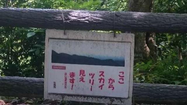 埼玉県飯能市坂石550-2 秩父御嶽神社の写真19