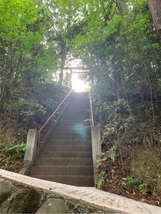 秩父御嶽神社の参拝記録(狭山茶さん)
