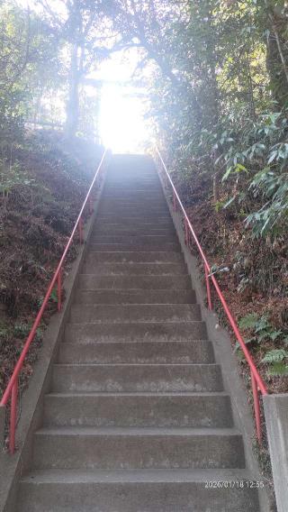 秩父御嶽神社の参拝記録(あにぃさん)