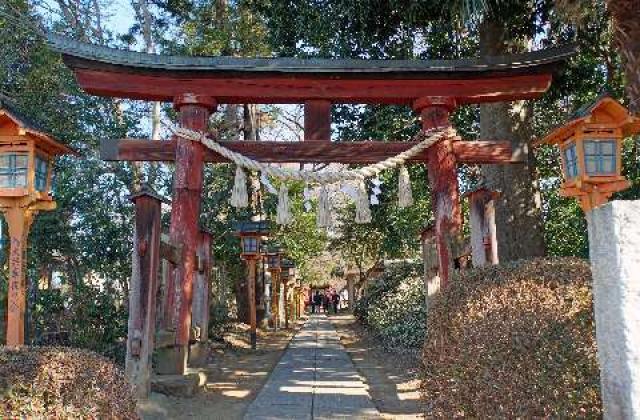 埼玉県鶴ヶ島市脚折町6-10-20 白鬚神社の写真1