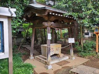 白鬚神社の参拝記録(飛成さん)