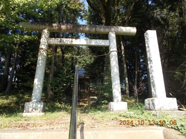 埼玉県日高市田木198 高根神社の写真2