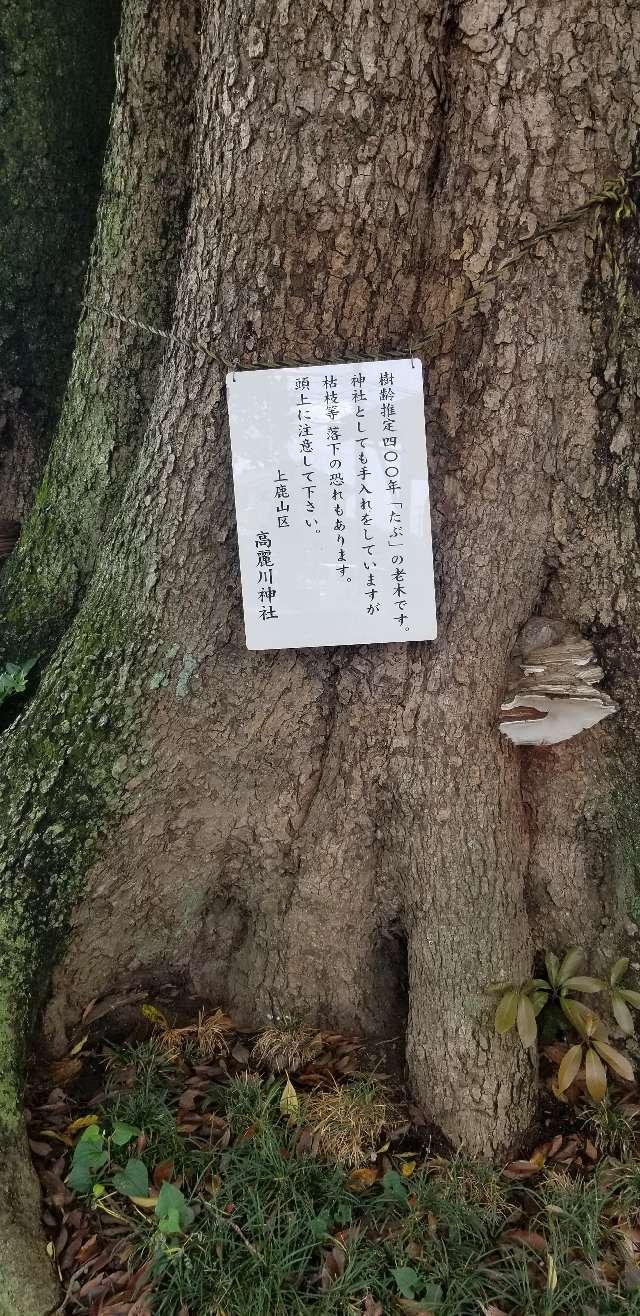 八劔神社(旧高麗川神社)の参拝記録1