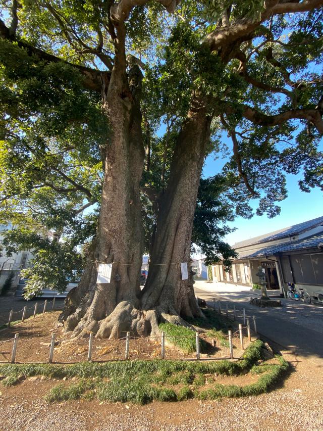 埼玉県日高市上鹿山170 八劔神社(旧高麗川神社)の写真4