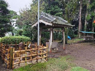 野々宮神社の参拝記録(飛成さん)