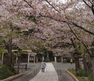 高麗神社の参拝記録(変なおじさんさん)