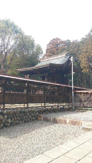 出雲伊波比神社の参拝記録(ステイさん)