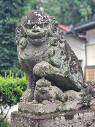 出雲伊波比神社の参拝記録(たけちゃ～ん⚾さん)