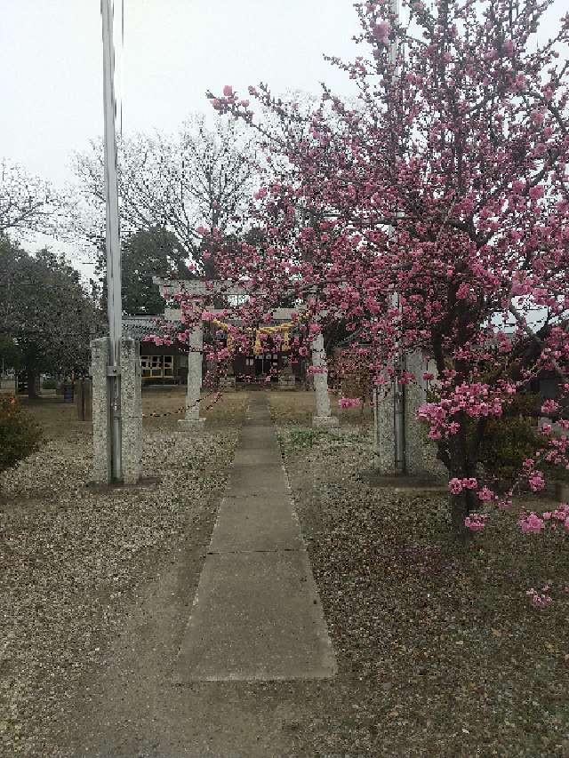 諏訪神社の参拝記録(zx14rさん)