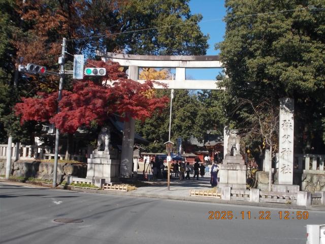 埼玉県秩父市番場町1-3 秩父神社の写真26