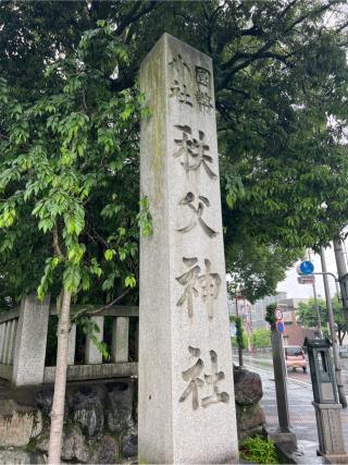 秩父神社の参拝記録(⛩️🎠🐢まめ🐢🎠⛩️さん)