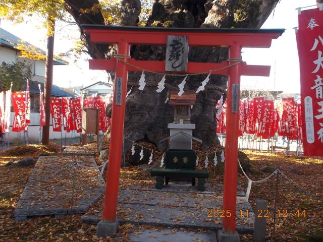 埼玉県秩父市中町16-10 今宮神社（八大龍王宮）の写真17