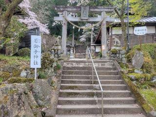 若御子神社(若御野神社)の参拝記録(まっきーさん)