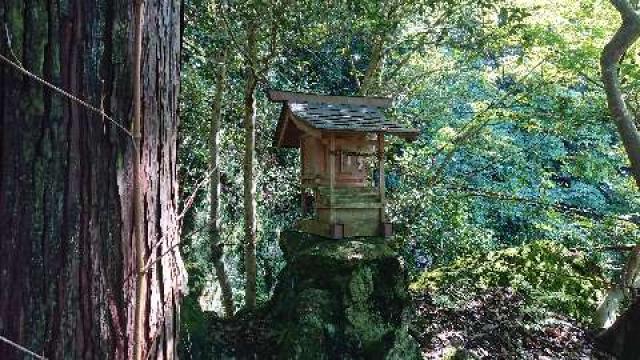 埼玉県秩父市荒川上田野698 若御子神社(若御野神社)の写真2