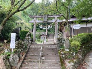 若御子神社(若御野神社)の参拝記録(レモンサワーさん)