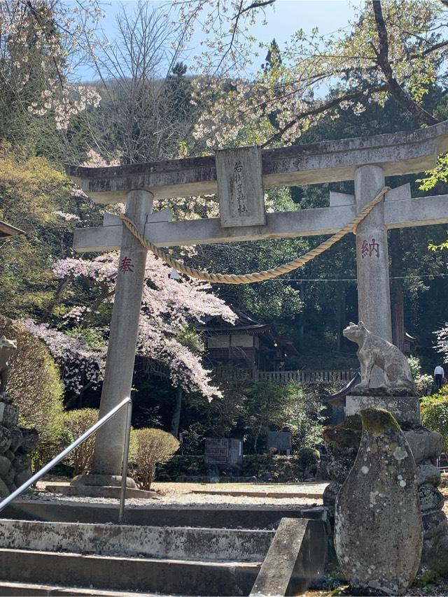 若御子神社(若御野神社)の参拝記録10