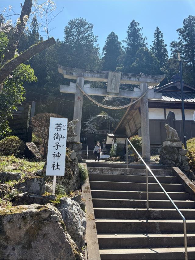 若御子神社(若御野神社)の参拝記録3