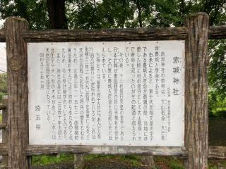 赤城大神社の参拝記録(レモンサワーさん)