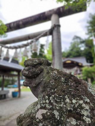 小鹿神社の参拝記録(たけちゃ～ん⚾さん)