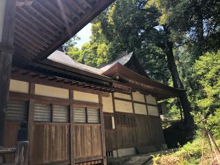 小鹿神社の参拝記録(みつをさん)
