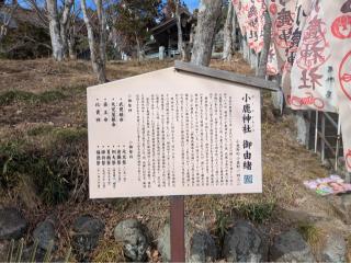 小鹿神社の参拝記録(fujiさん)