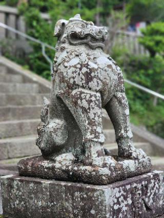 飯田八幡神社（小鹿野町）の参拝記録(たけちゃ～ん⚾さん)