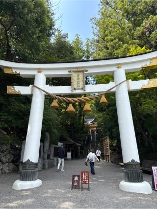 寳登山神社の参拝記録(⛩️🎠🐢まめ🐢🎠⛩️さん)