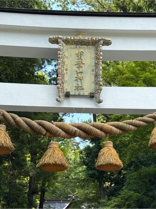 寳登山神社の参拝記録(⛩️🎠🐢まめ🐢🎠⛩️さん)