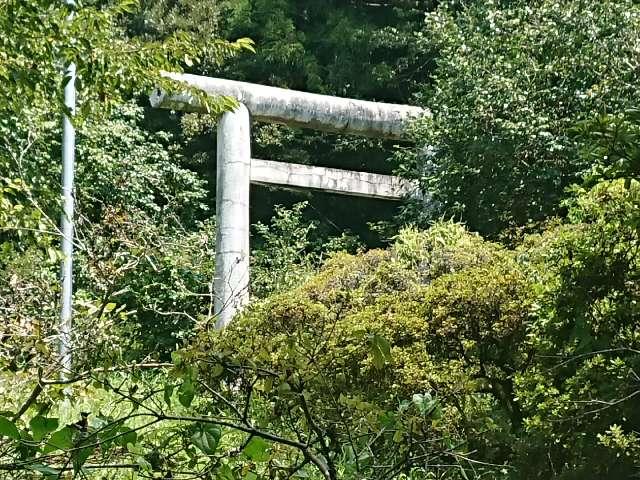 埼玉県長瀞町井戸225 岩根神社の写真5