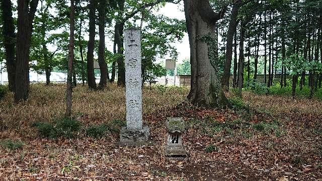 埼玉県本庄市西五十子647 大寄諏訪神社の写真8