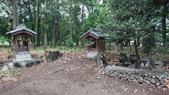 埼玉県本庄市西五十子647 大寄諏訪神社の写真9