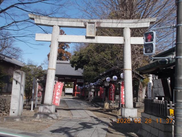 埼玉県本庄市児玉町児玉198 八幡神社（東石清水八幡神社）の写真12