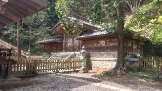 金鑚神社（武蔵二ノ宮）の参拝記録(ステイさん)