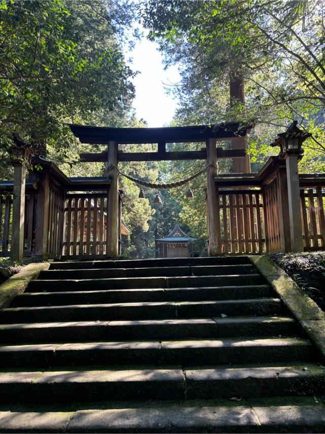 金鑚神社（武蔵二ノ宮）の参拝記録4