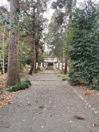 三ヶ尻八幡神社の参拝記録(さとみさん)