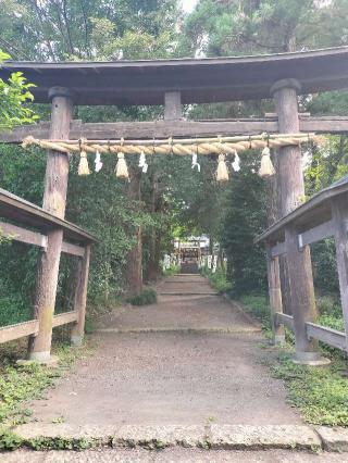 三ヶ尻八幡神社の参拝記録(さとみさん)